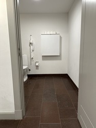 Kongernes Samling - Amalienborgmuseet