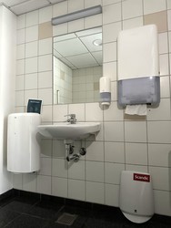 Scandic Kolding - Toilette neben Mjølner und Mimer